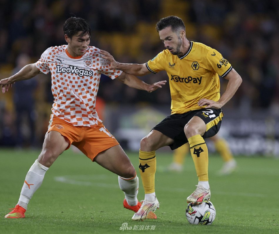 型电信公司 型电信公司