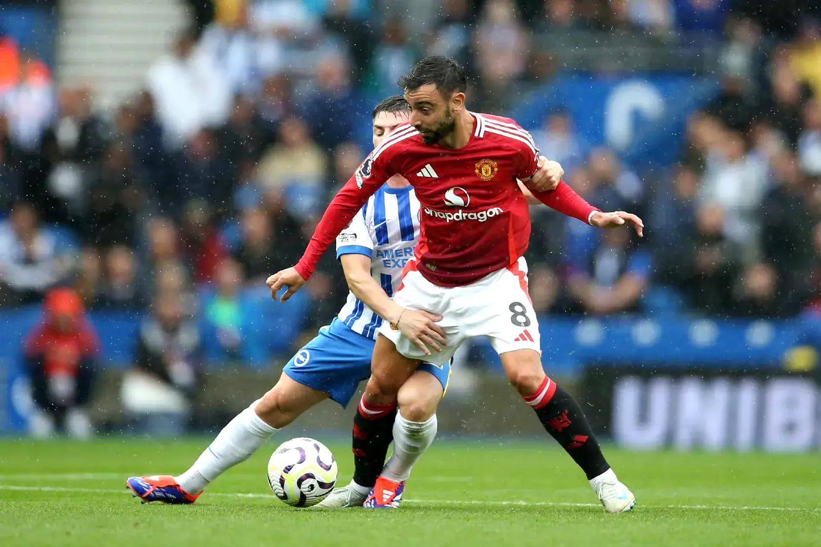 喜鹊球迷的 喜鹊球迷的